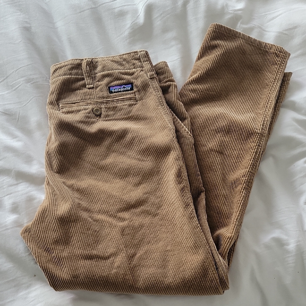Patagonia Men's Brown Corduroy Pants